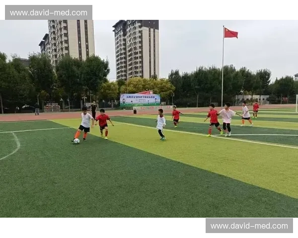 校园学子绿茵争锋共绘青春奋斗精彩足球赛事盛典时刻难忘荣耀瞬间汇聚