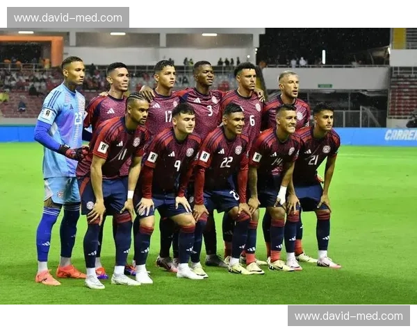 2014年世界杯预选赛回顾：各大洲激烈角逐与历史性时刻